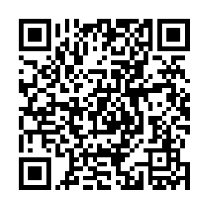 因为雨果那双充满残暴的眸子就像是狮子在瞄准猎物一般二维码生成