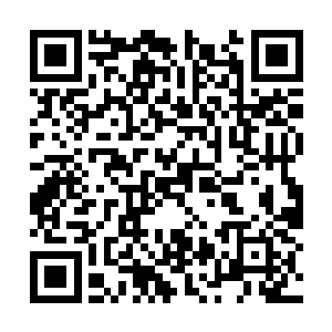 因为雪如楼发现一直没有动静的月环突然有动静了二维码生成