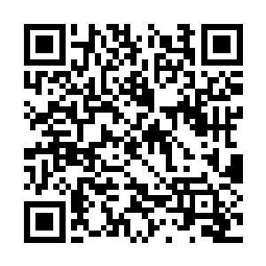 因为雷家在十万年前出现过一位神王境强者的传言二维码生成