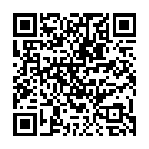 因为雷明曾经到她上班的地方以及经常在她客户面前闹腾二维码生成