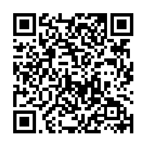 因为靠海受到有角人迫害较多的水城也宣布加入联合军二维码生成