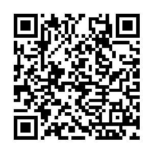 因为预言中的事情一一发生是时候打开噩梦之境了二维码生成