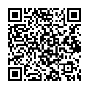 因为风清扬有可能就是万中无一的先天僵尸之体二维码生成