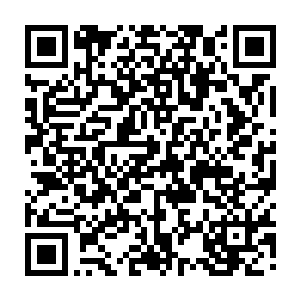 因为马文已经凭借自己的意志从纳鲁之书第六页制造的虚拟时空中挣扎了出来二维码生成
