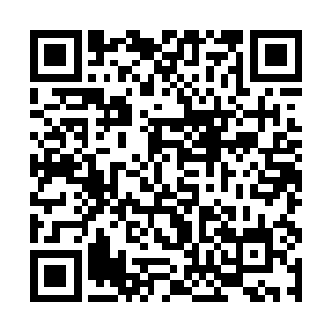 因为马特和迪戈的星号和镝号两艘船也己经到了码头二维码生成