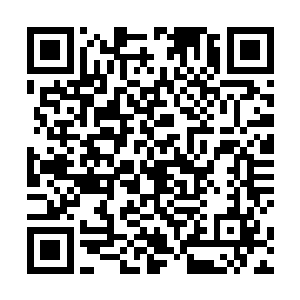 因为马里奥似乎要把他牵扯进西塞罗家族的内斗之中了二维码生成