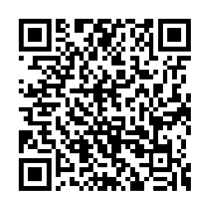 因为驮着凌菲过来的雪狼愤怒的冲狼群吼了回去二维码生成