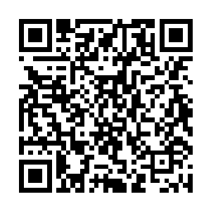 因为高悬于天的王斐将目光落在了圣火中的王枫身上二维码生成