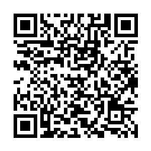 因为麦克米伦教授面对的目标明显是媒体而非杨锐二维码生成