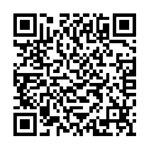 因为黄狗浑身上下都透露出一股像人一样的灵性二维码生成