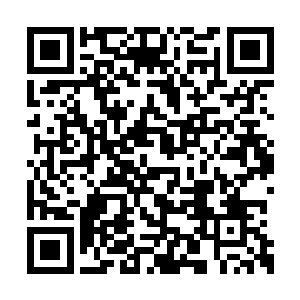 因为黑夜的身体撞在一颗碗口粗的小树上的时候二维码生成