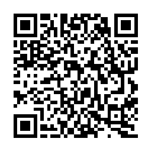 因为黑衣人首领和另外的两名七阶全都已经死了二维码生成
