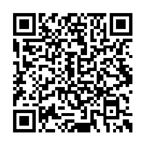 因为黑马的出现往往意味着原有的体系会被打破二维码生成