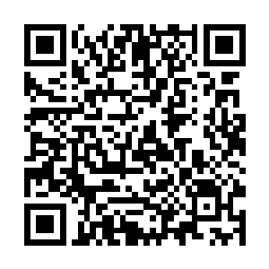 因为齐浩又拿出一种恢复灵力的灵丹妙药给终于服下二维码生成