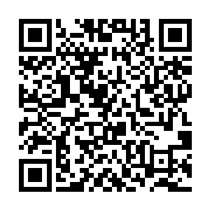 因为龙傲天已经在他的周身布置下了透明的收缩结界二维码生成