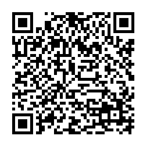 因为龙傲天敏锐的感觉到在郑家主的体内竟然汇集了一股无比精纯的澎湃的阴气二维码生成