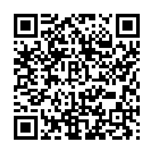 因为龙冠的安保人员竟然大胆包天的挡着那些警察二维码生成