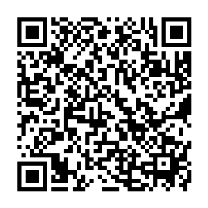 因为龙战之前交代过找东西的时候要记住这东西的位置以及周遭的一些特征二维码生成