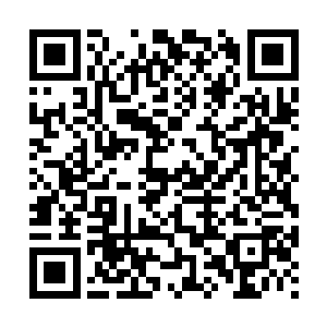 因为HD战队为了让自己下路的推塔速度跟LH战队的下路组合一样二维码生成
