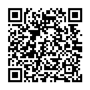 因为ifo和钻石联盟没有切实利益的话是绝对不会贸然开战的二维码生成