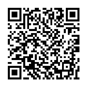 因何而写的――当然是严州府南门外江岸大堤上二维码生成