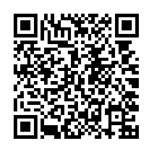 因塞斯虫最喜欢的食物就是蕴含着强大精神力的人类二维码生成