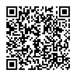 因小奶娃身体有所好转而起的那丝好心情已然顷刻间被夭华给破坏得干干净净二维码生成