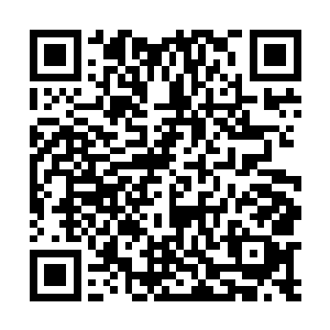 因山寨中的人急跑出来而暂时停下来的容觐与夭华等人二维码生成