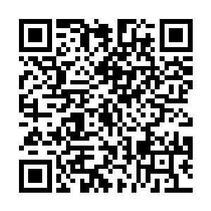 因扭曲的移情心态把犀角当作了自己男性象征的替代品二维码生成