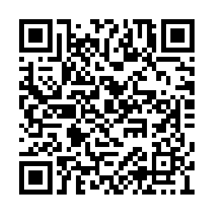 因此……才会被保存在这样一个高权限的收容层二维码生成