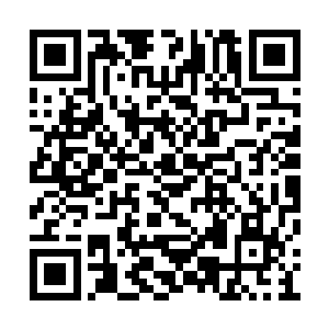 因此一粒四象炼元丹也难以让我的剑元提纯多少二维码生成