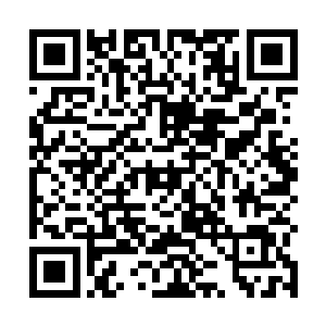 因此一般胆子大的看见黄皮子偷鸡上去就直接给打死了二维码生成