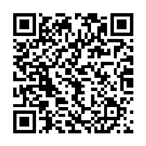 因此两人也可谓是捉弄的有来有回谁也毫不相让的样子二维码生成