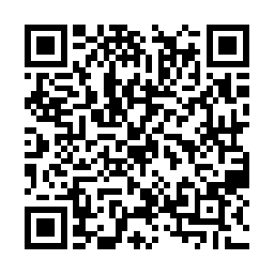 因此也不能怪他对人类这个种群抱着敌视的心态了二维码生成