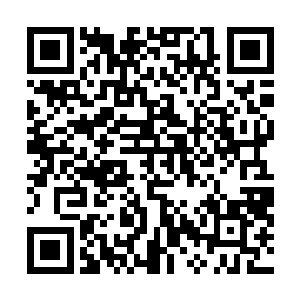 因此他一进来时就仔细地打量了一番此处仅有的两个孩子二维码生成