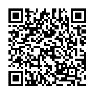 因此他们后来交手的地方都会选择郊外僻静一点的地方二维码生成
