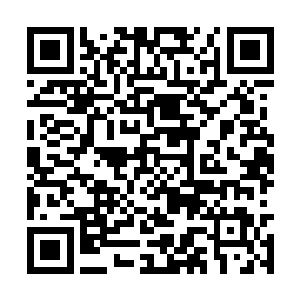 因此他们此时只能够调动极少的能量勉强护住周身二维码生成