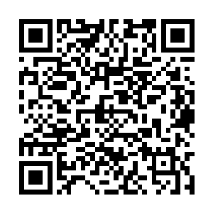 因此他们用草木灵药熬制的汤药效果差了百倍左右二维码生成