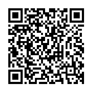 因此他们面面相觑最终很无奈的拿起武器朝着龙傲天攻击过来二维码生成