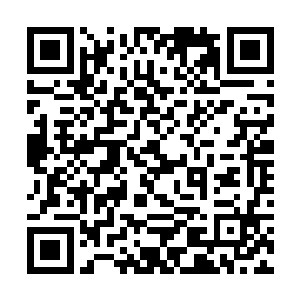 因此他才想通过监控中花蝴蝶的一举一动来判定一下二维码生成