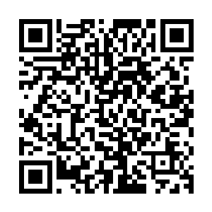 因此他的周围十里的范围内根本就没有其他的血狱怪物敢于靠近二维码生成