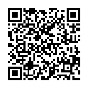 因此以前龙族都眼巴巴地可以在龙印世界中多呆一会儿二维码生成