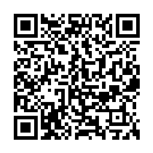 因此伴随着天空当中数百丈冰霜长矛的破空射出二维码生成