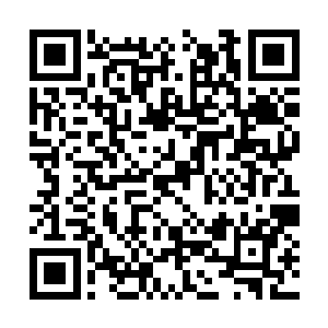 因此使用自己大哥弱点的时候他不会有半点的犹豫二维码生成