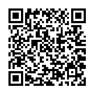 因此依照马纵横的吩咐在昨夜之前都是一直按兵不动二维码生成