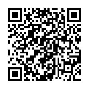 因此凝血化形这类需要足够数量才能体现战力的术法二维码生成