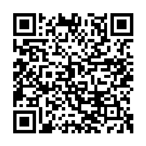 因此出现了误会独自修炼走火入魔成为如此形态二维码生成