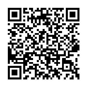 因此南荒仙人对于大雪山福地中的情况了若指掌二维码生成