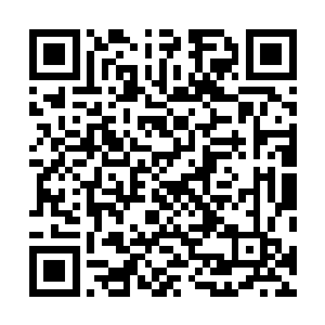 因此只好将怒气都宣泄在天鹤家族的太上长老鹤千尺身上二维码生成