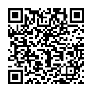 因此吴曦怀疑这个地方的确是有个人曾经在修炼一些死灵术二维码生成